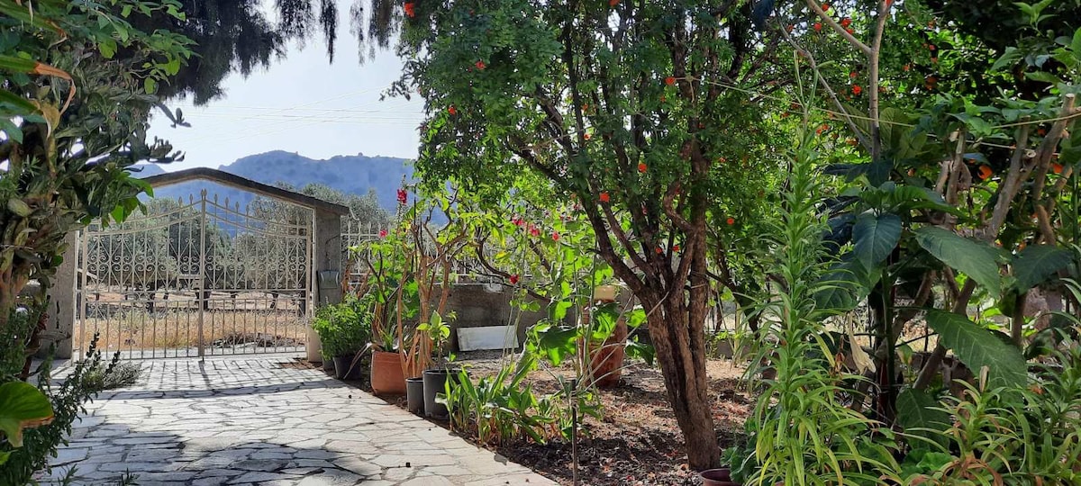 A peaceful garden space is visible, framed by lush greenery and vibrant flowers. A winding stone path guides the view towards a gated entrance, while various potted plants add to the tranquil ambiance. Rolling hills are seen in the background, completing the natural setting.