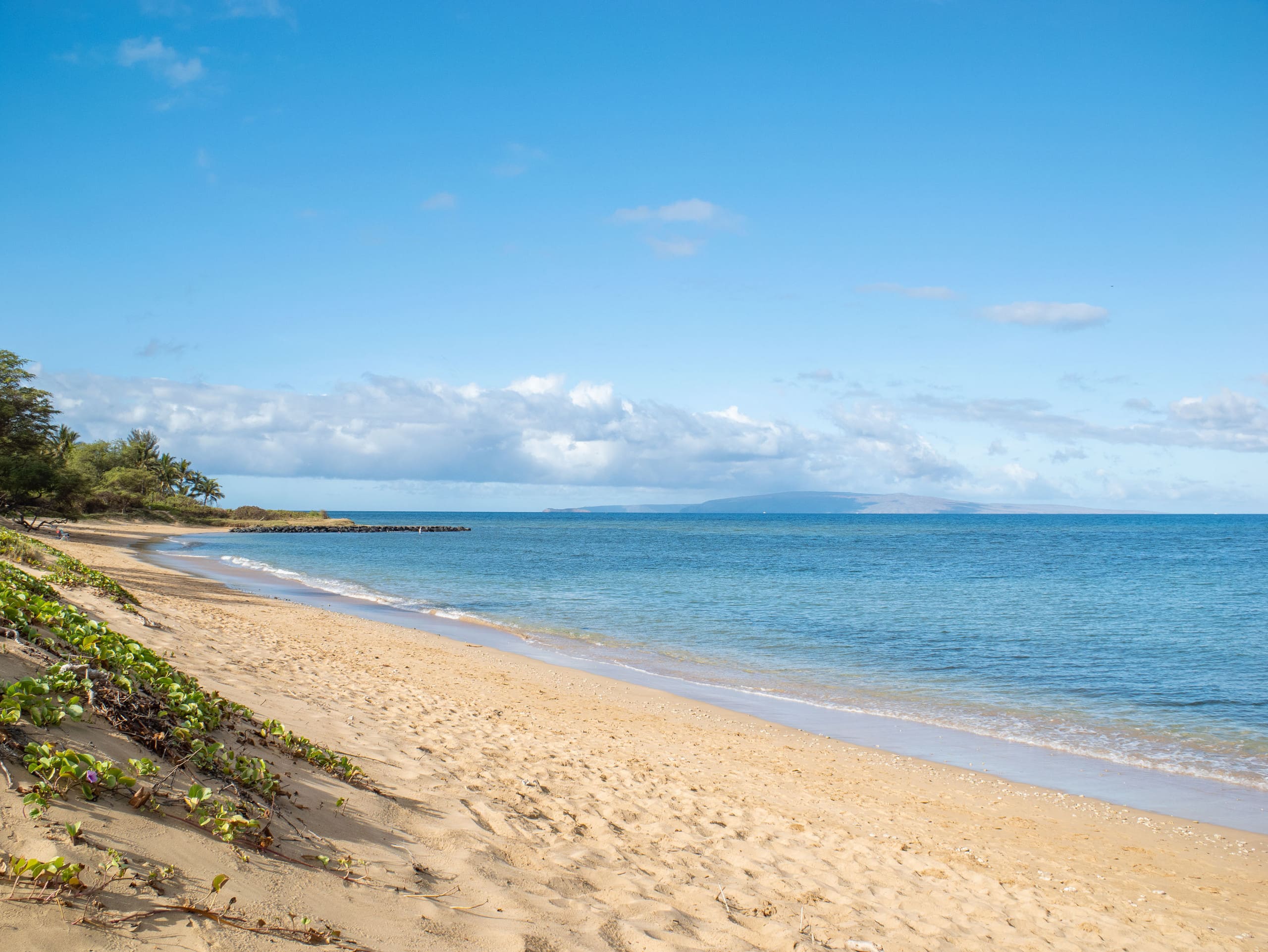 Condo in Kihei · ★4.88 · 1 bedroom · 2 beds · 1 bath - Image 15
