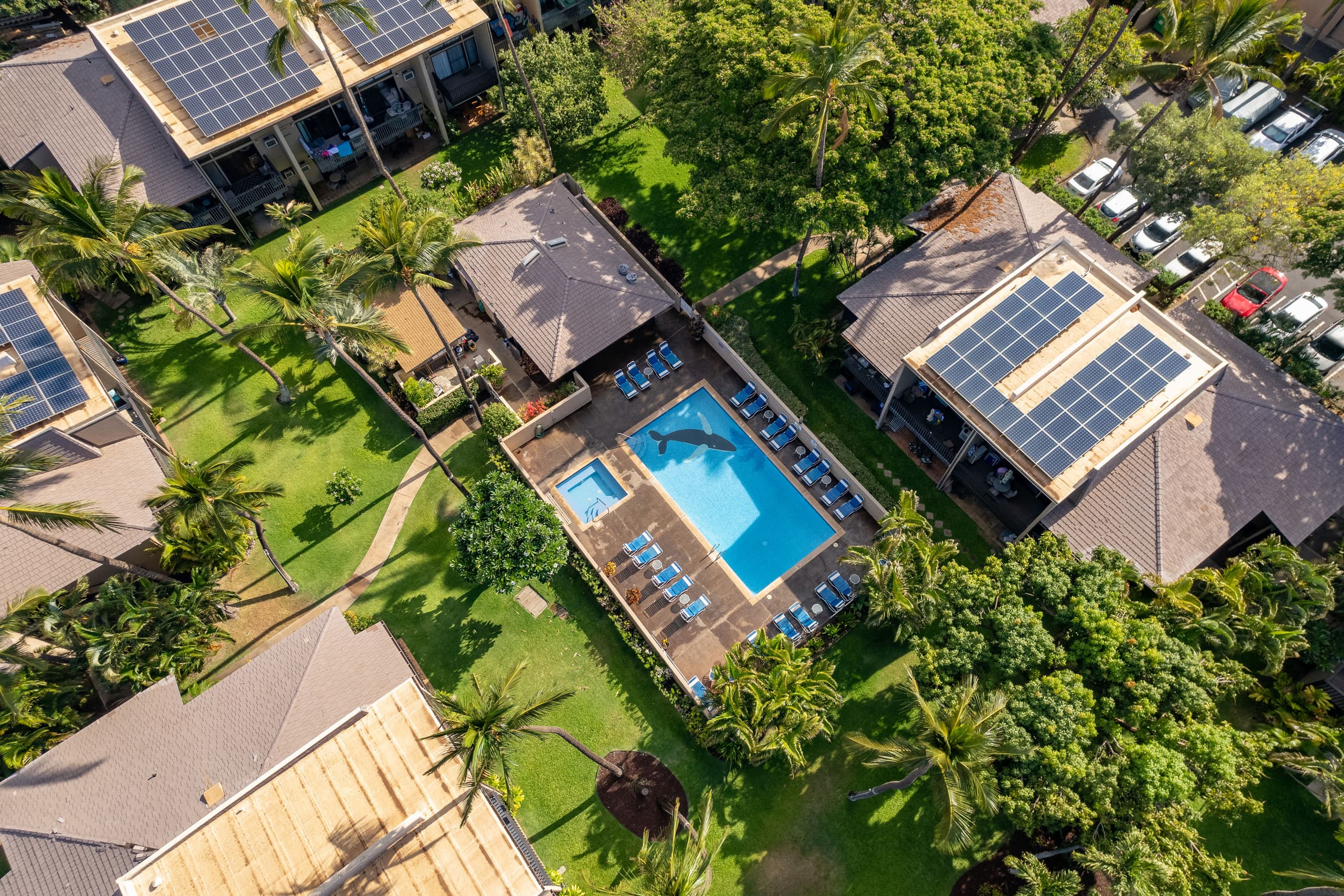 Condo in Kihei · ★4.88 · 1 bedroom · 2 beds · 1 bath - Image 23