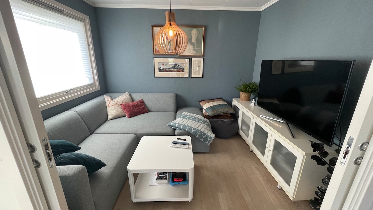 Sala de TV. El sofá se puede convertir en cama.