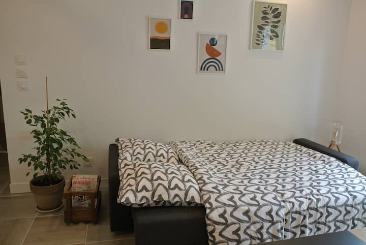 Maison D'hôtes Calme Avec Garage Privé. Classé 3* - Albi