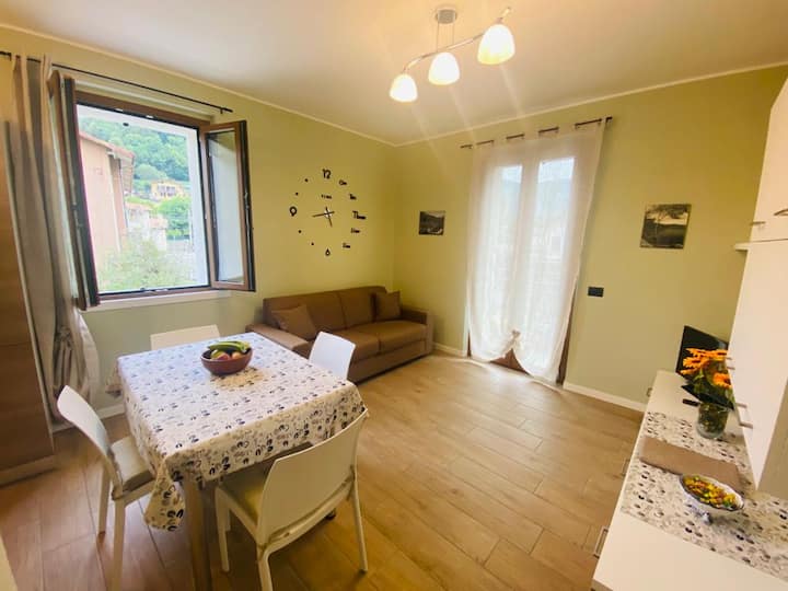 Appartamento  Ristrutturato In Zona Tranquilla - Mandello del Lario
