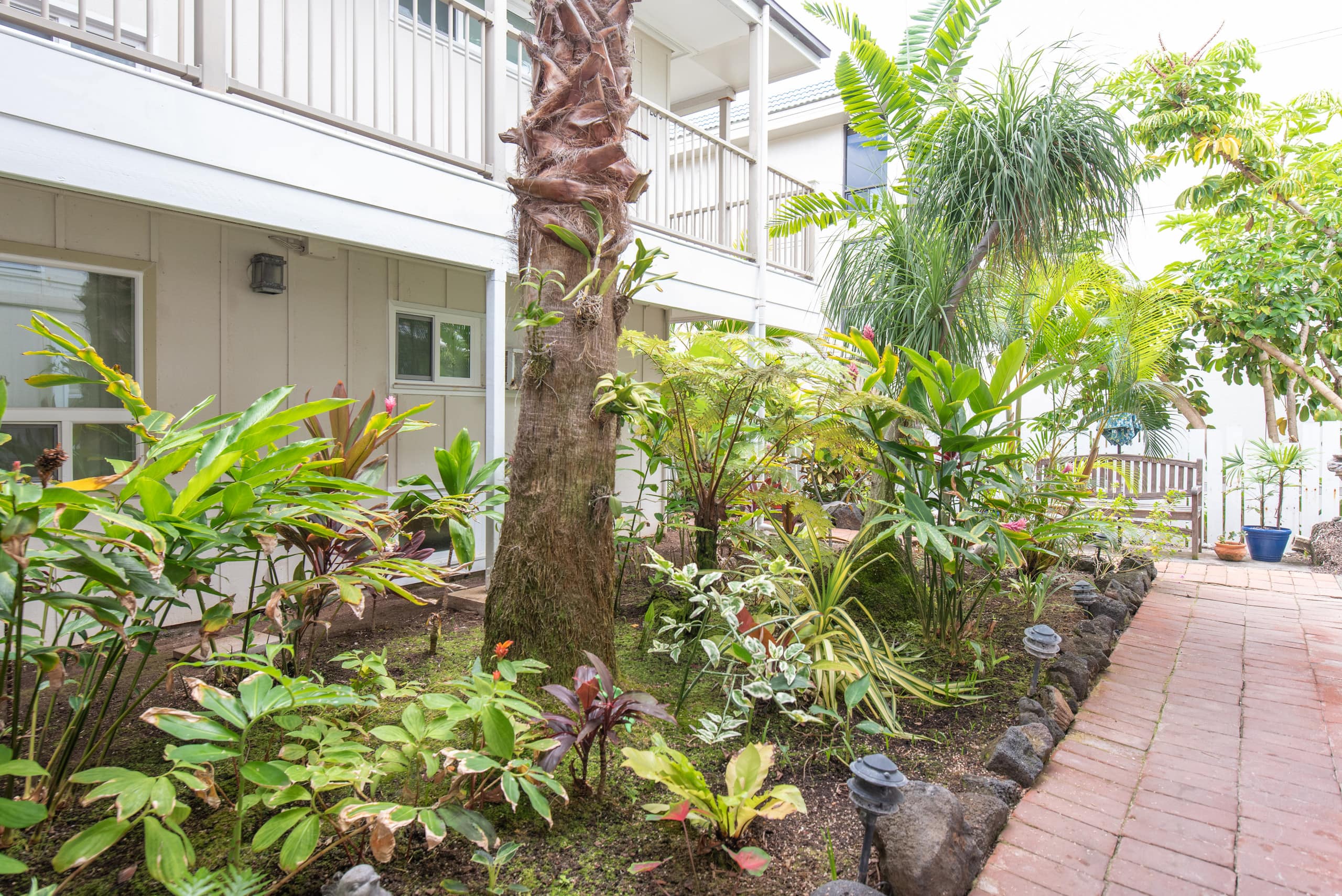 Condo in Kailua-Kona · ★4.88 · 2 bedrooms · 3 beds · 1 bath - Image 26