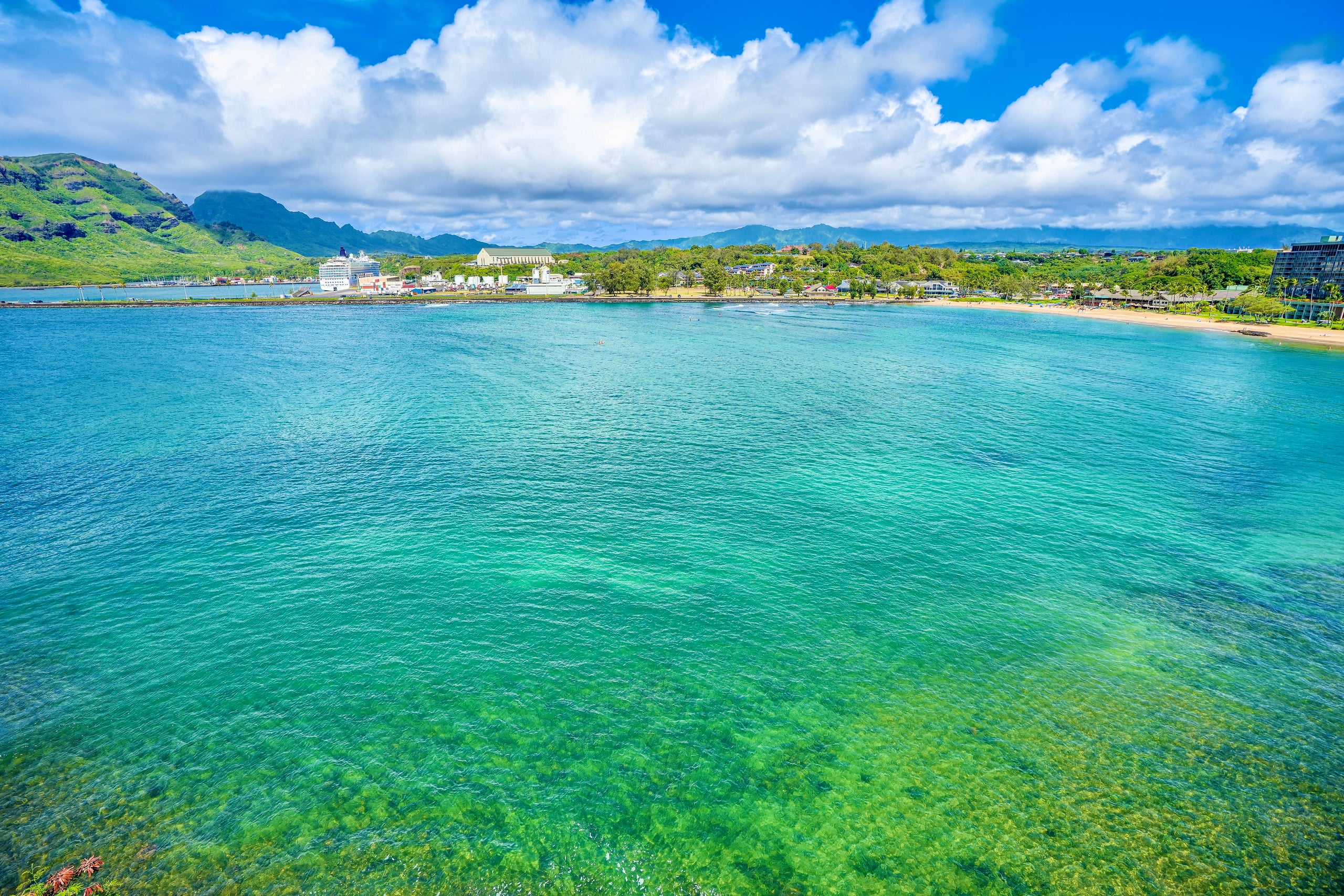 Perfect Private Kalapaki Beach Cliffside Getaway! - Photo 49