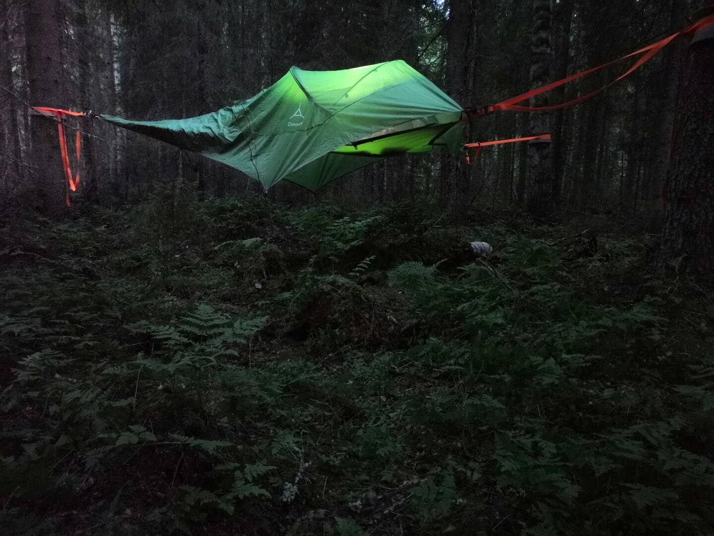 Eco-friendly Tree Tent&  Nature Protected Forest 2