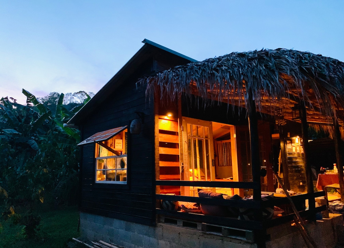 A wooden house features a thatched roof and large windows, allowing for views of the surrounding nature. The exterior is softly illuminated, highlighting the structure's rustic charm. Nearby vegetation is noticeable, contributing to the serene atmosphere of the setting.