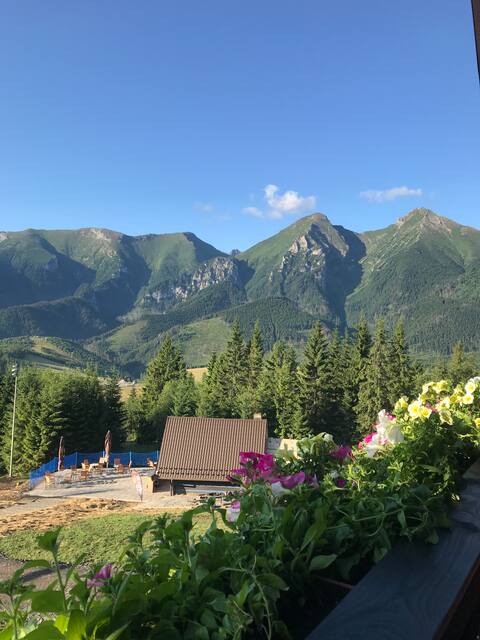 Privacy of forest chalets with hotel services