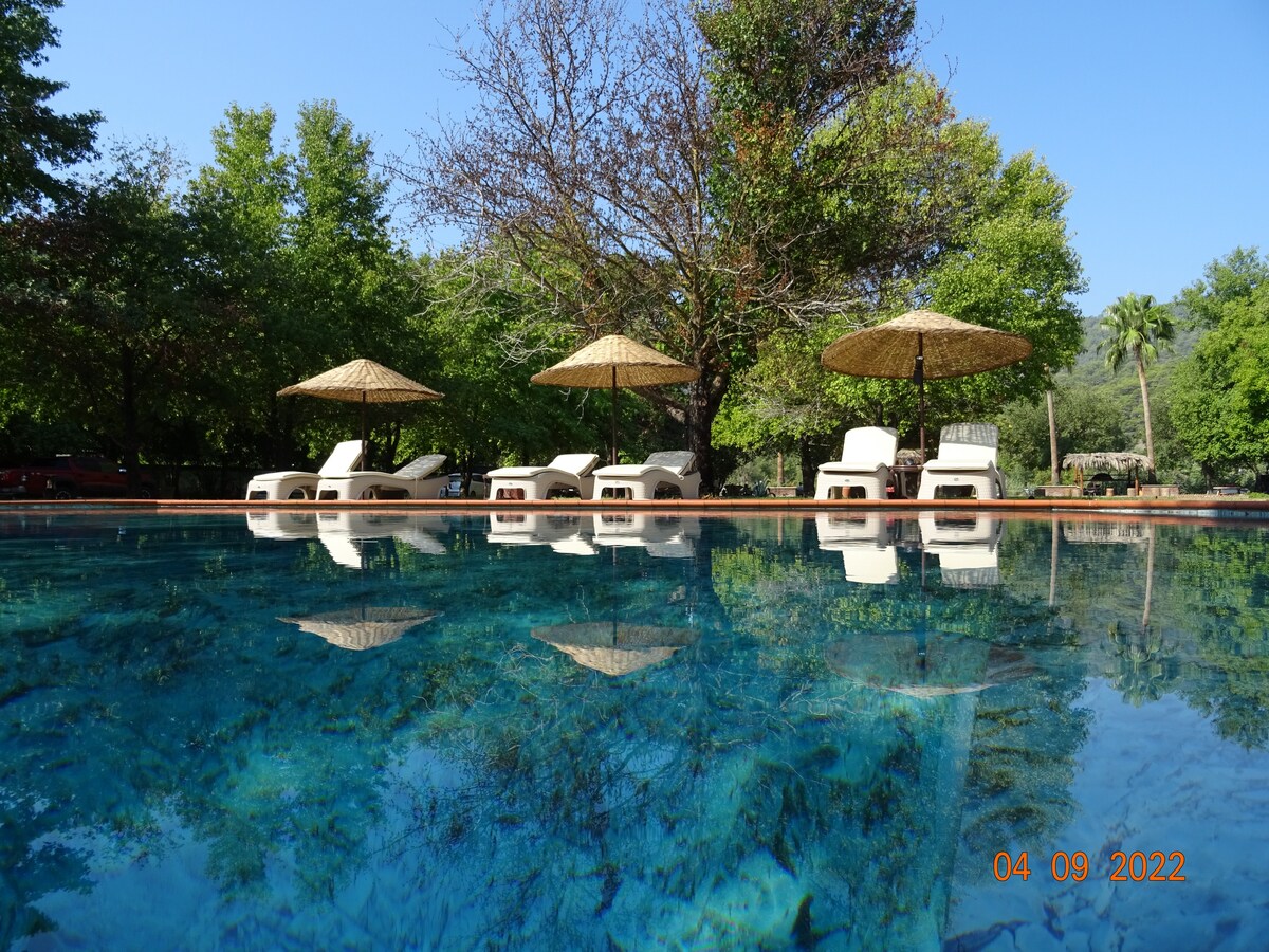 A tranquil salt-water pool reflects surrounding trees and blue sky. Thatched umbrellas provide shade over lounge chairs arranged along the poolside, inviting relaxation. The clear water highlights the natural beauty of the lush green environment.