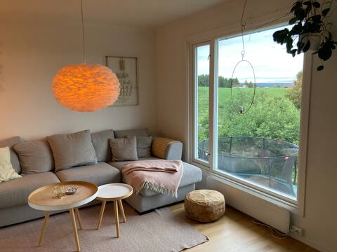 Convenient house with a nice view in Hamar