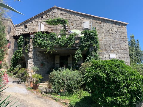 Charming accommodation in a village house