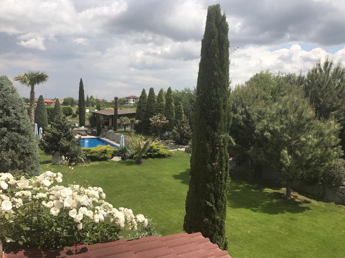 A lush garden is showcased, featuring manicured lawns and a pool area surrounded by various trees. Tall cypress and palm trees provide vertical accents, while white roses bloom in the foreground. A serene atmosphere is evident under a partially cloudy sky.