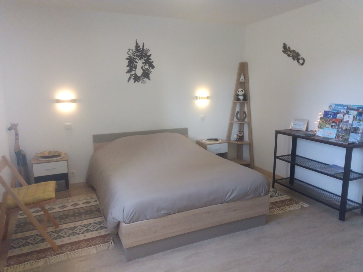 A spacious sleeping area features a neutral-colored bedspread on a wooden frame. Two bedside tables with lamps are positioned on either side. A decorative shelving unit contains travel brochures, and a woven runner adds a subtle design element to the floor.