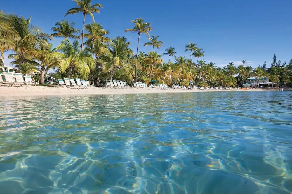 A calm beach scene is depicted with clear blue waters gently lapping at the shore. Sun loungers are arranged under tall palm trees along the sandy beach, while vibrant tropical foliage enhances the relaxed atmosphere.
