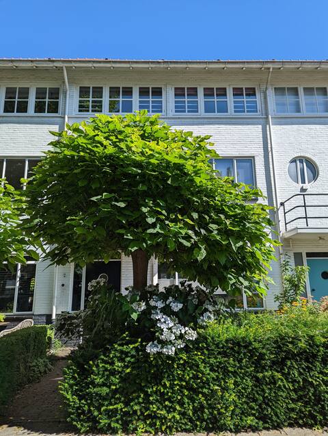 Complete monumental house close to city center