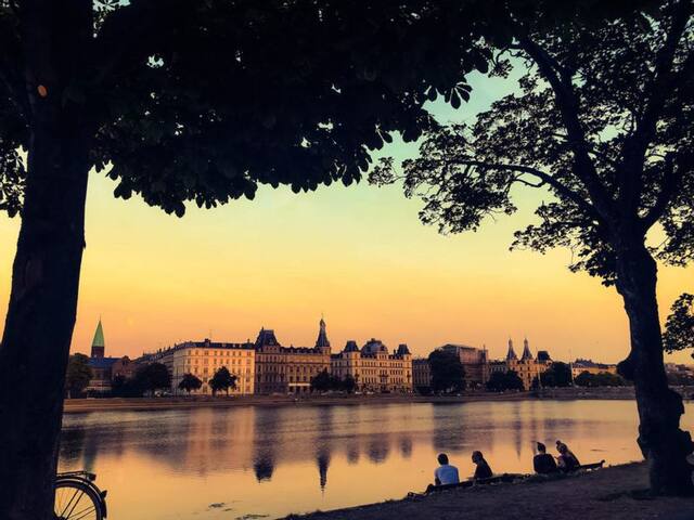 Klassisk herskabslejlighed i centrum af København gallery image 2