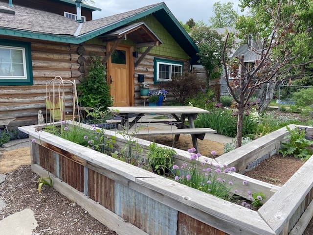 Bright updated log cabin with great outdoor living gallery image 3