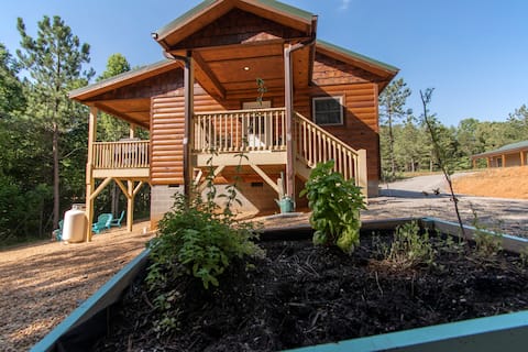 CHEERFUL CABIN IN MURPHY WITH COLEMAN SPA!