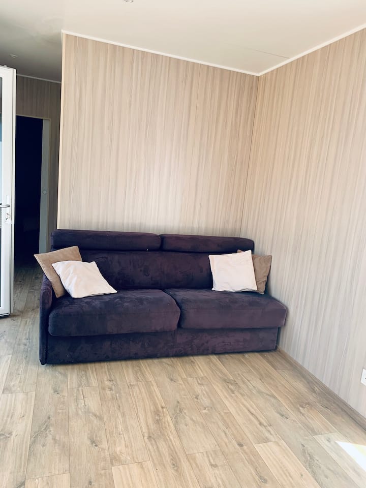 დაკეცილი სწრაფი დივანი შიდა მისაღები ოთახისთვის