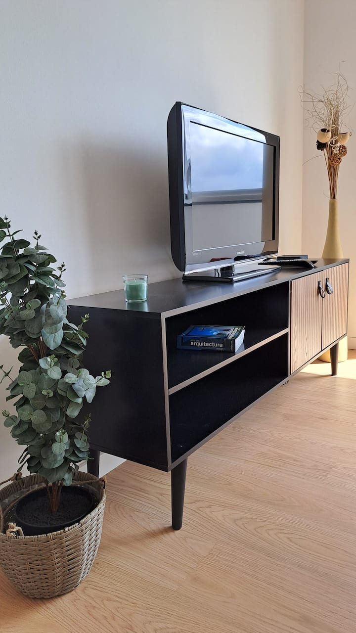 تلفزيون محمول