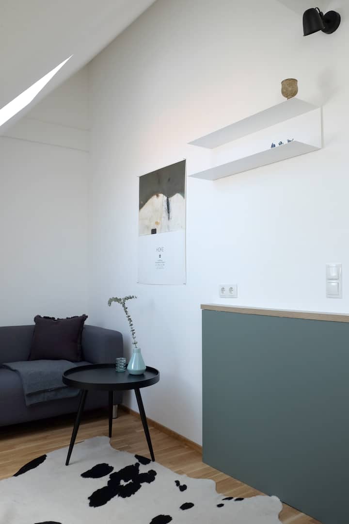 Bright + Cozy Attic Maisonette In The Center - Bregenz