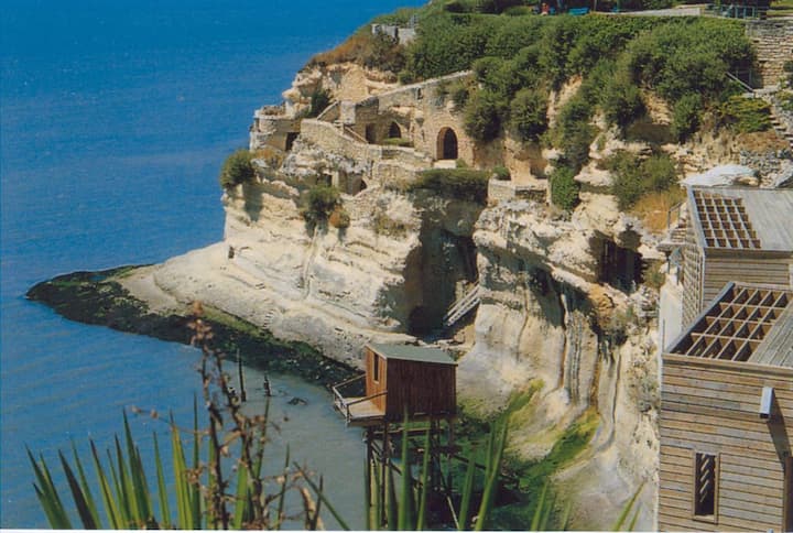 Image 1