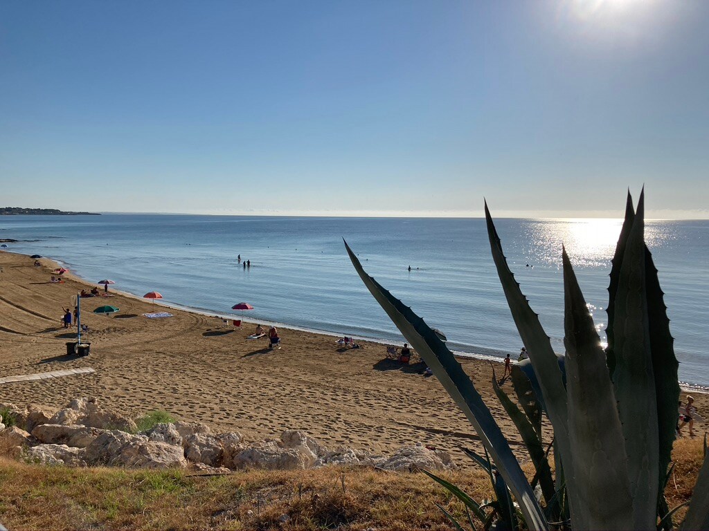 A serene beach scene captures gently lapping waves against a sandy shore. Umbrellas dot the beach, with figures enjoying the sun in the distance. A green agave plant frames the foreground, adding a natural element to the tranquil coastal view.