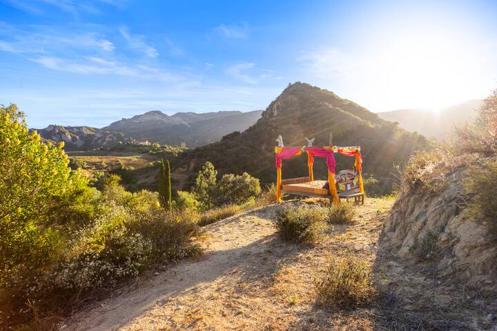 @MotherShippo family Sanctuary gallery image 5