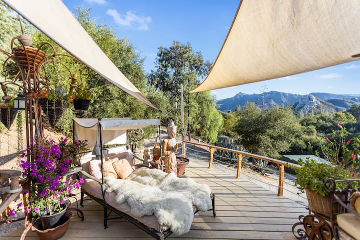 @MotherShippo family Sanctuary gallery image 3