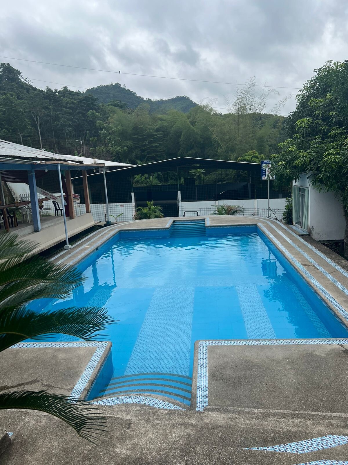 A rectangular swimming pool with clear blue water is framed by concrete steps. Lush greenery surrounds the area, contributing to the tranquil atmosphere. In the background, a shaded seating area is partially visible, with a covered structure further enhancing the outdoor ambiance.