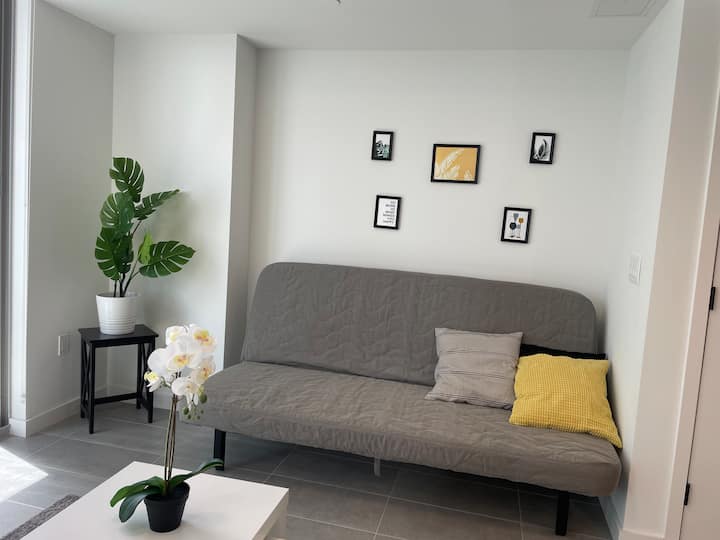 Free Parking*no Fees*sparkling Clean*walk To Arena - Miami, FL