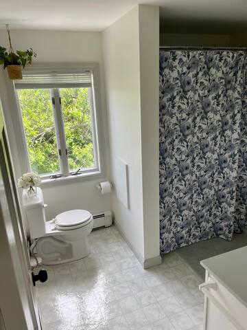 Bright 4 Bdrm Beach Cottage, Close to Town gallery image 2