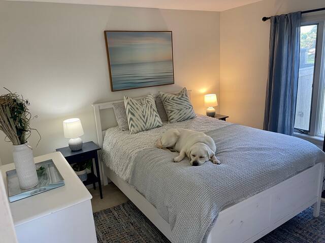 Bright 4 Bdrm Beach Cottage, Close to Town gallery image 5