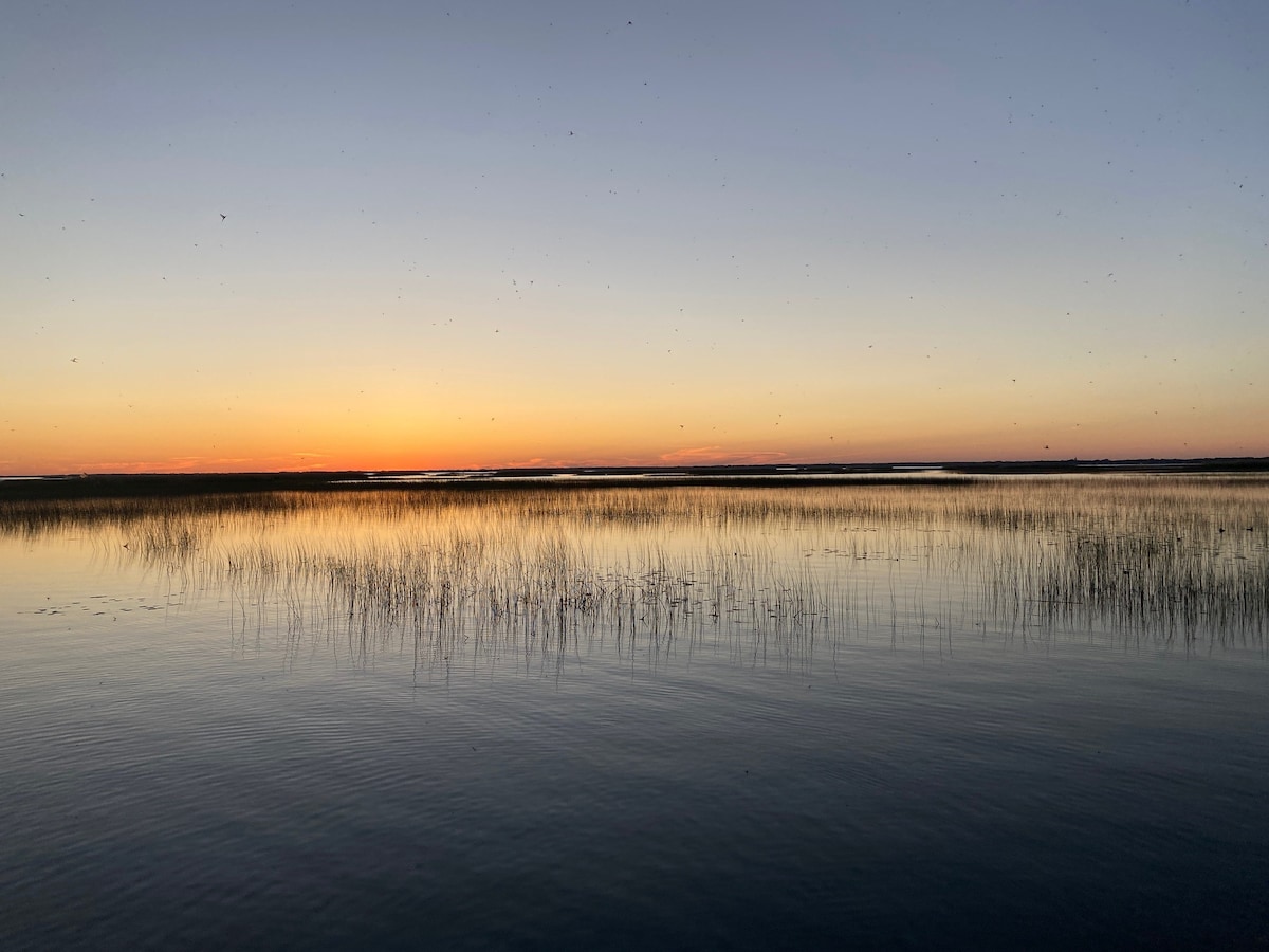 A serene view of calm waters reflects the soft hues of a sunset. Tall grasses line the shoreline, silhouetted against the fading light. The horizon is marked by gentle waves, creating a tranquil atmosphere in the early evening.