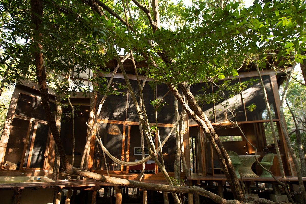 A unique wooden structure is nestled among lush greenery, featuring large windows that blend with the surrounding trees. A comfortable hammock is suspended between two tree trunks, and the warm sunlight filters through the leaves, creating a serene outdoor atmosphere.