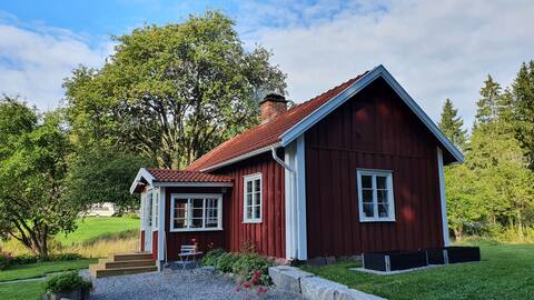 Idyllic and secluded forest cabin for all seasons