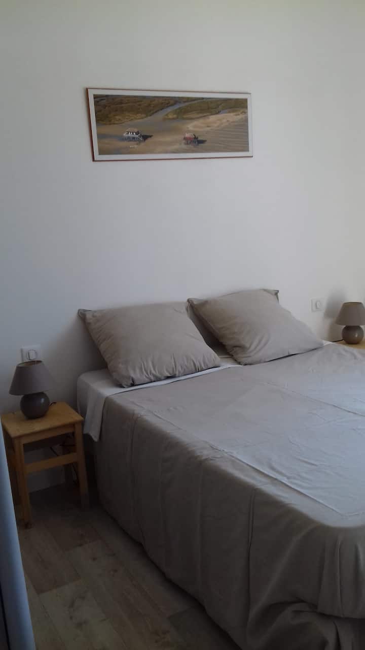 მთავარი ფლიგელი სამხრეთ ტერასაზე გასასვლელით. სათავსო კარადა