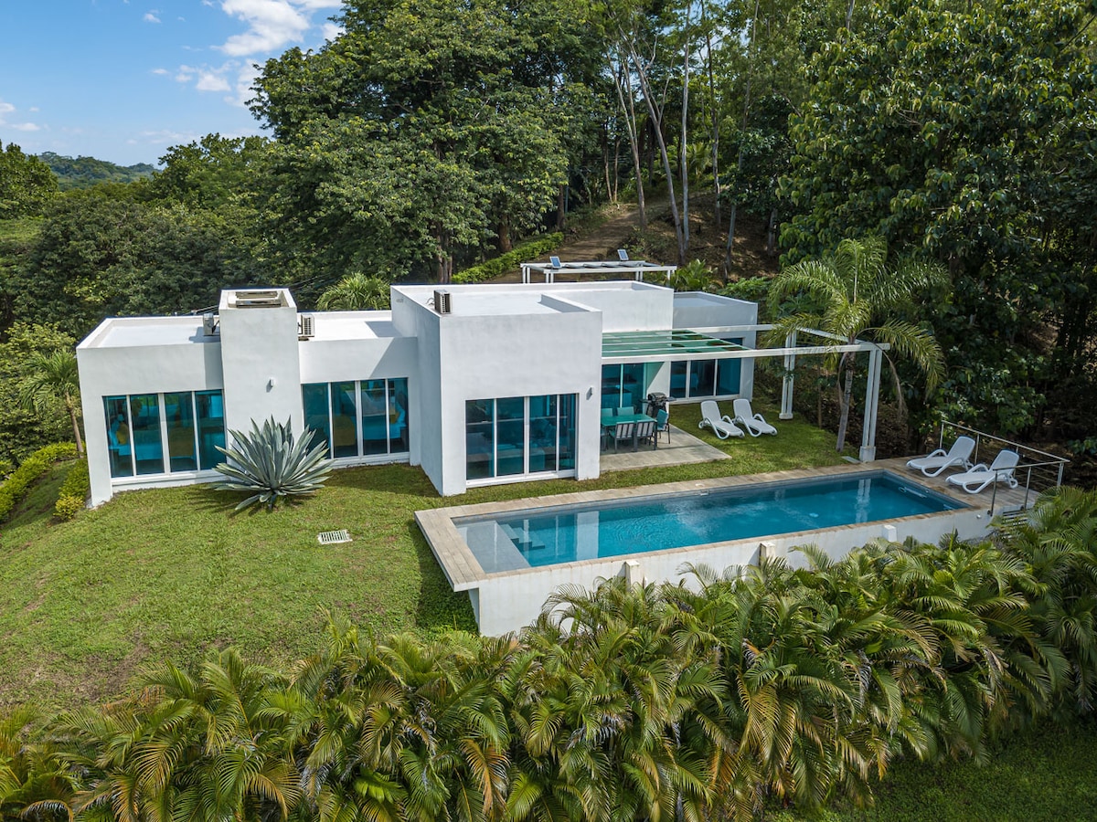 A modern villa is seen from above, surrounded by lush greenery. A private lap pool lies beside the patio, which features several lounge chairs. Expansive glass windows reflect the natural surroundings, inviting ample light into the spacious design. Mature trees frame the property, enhancing the serene atmosphere.