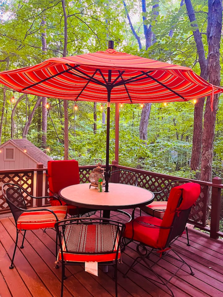 10 Best PetFriendly Rentals In North Carolina, USA Updated 2024