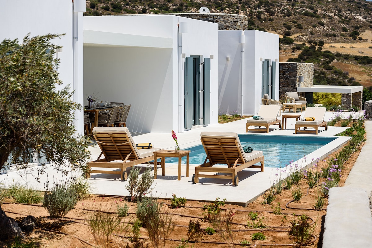 A serene outdoor area showcases a swimming pool framed by sun loungers and a small table. The space is surrounded by a well-maintained garden featuring local plants. The modern white architecture blends with the natural landscape of the island.
