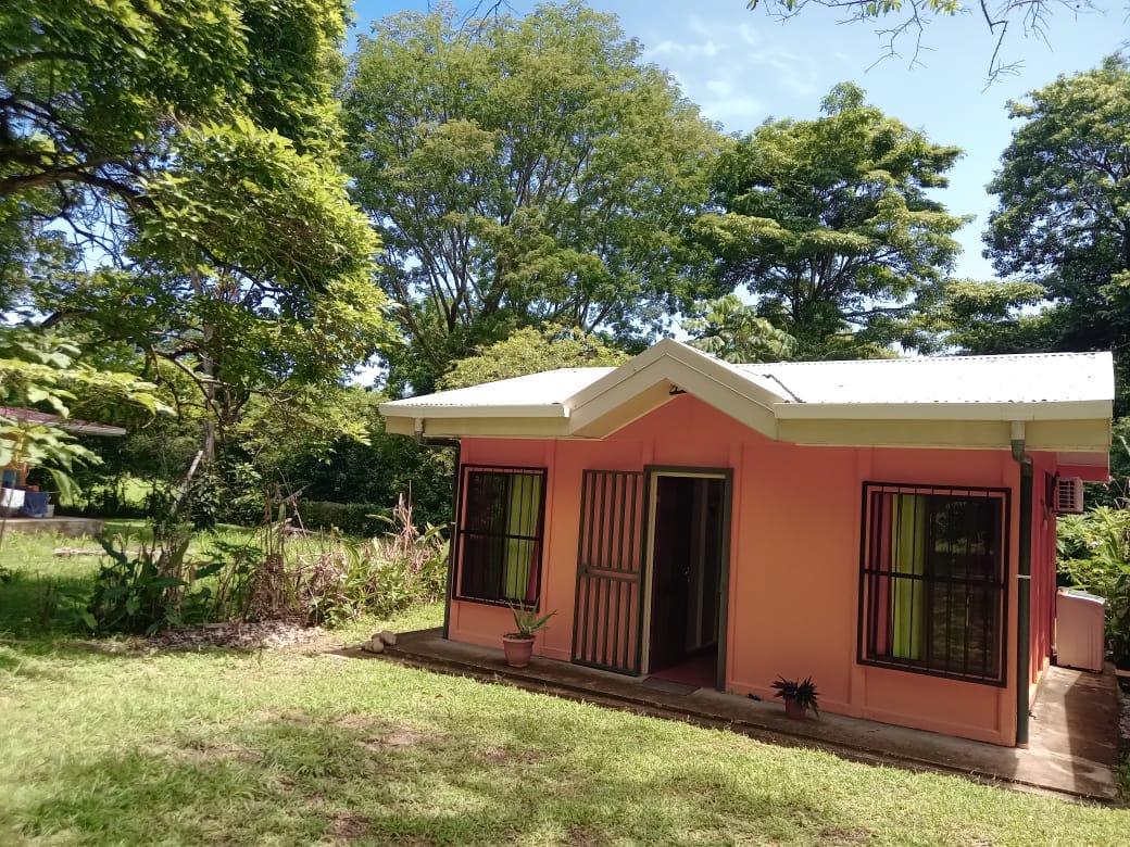 A charming tropical house is set within a green landscape, surrounded by lush trees and grass. The exterior features a light pink color with large windows bordered by black grills. A small potted plant is placed near the entrance, enhancing the welcoming entrance.
