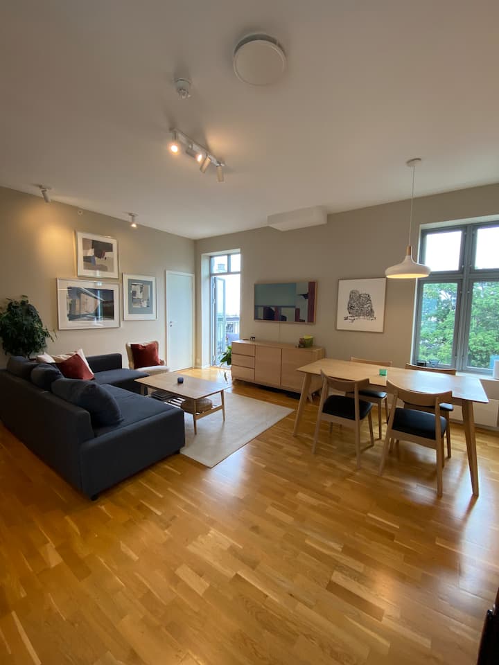 Cozy apartment with park view in the heart of Oslo Apartments for