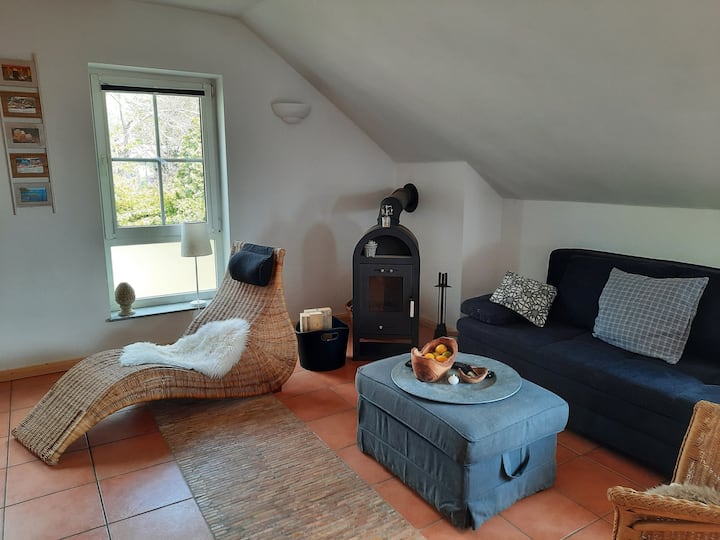 Fully Equipped Appartment, Pets Allowed - Remagen