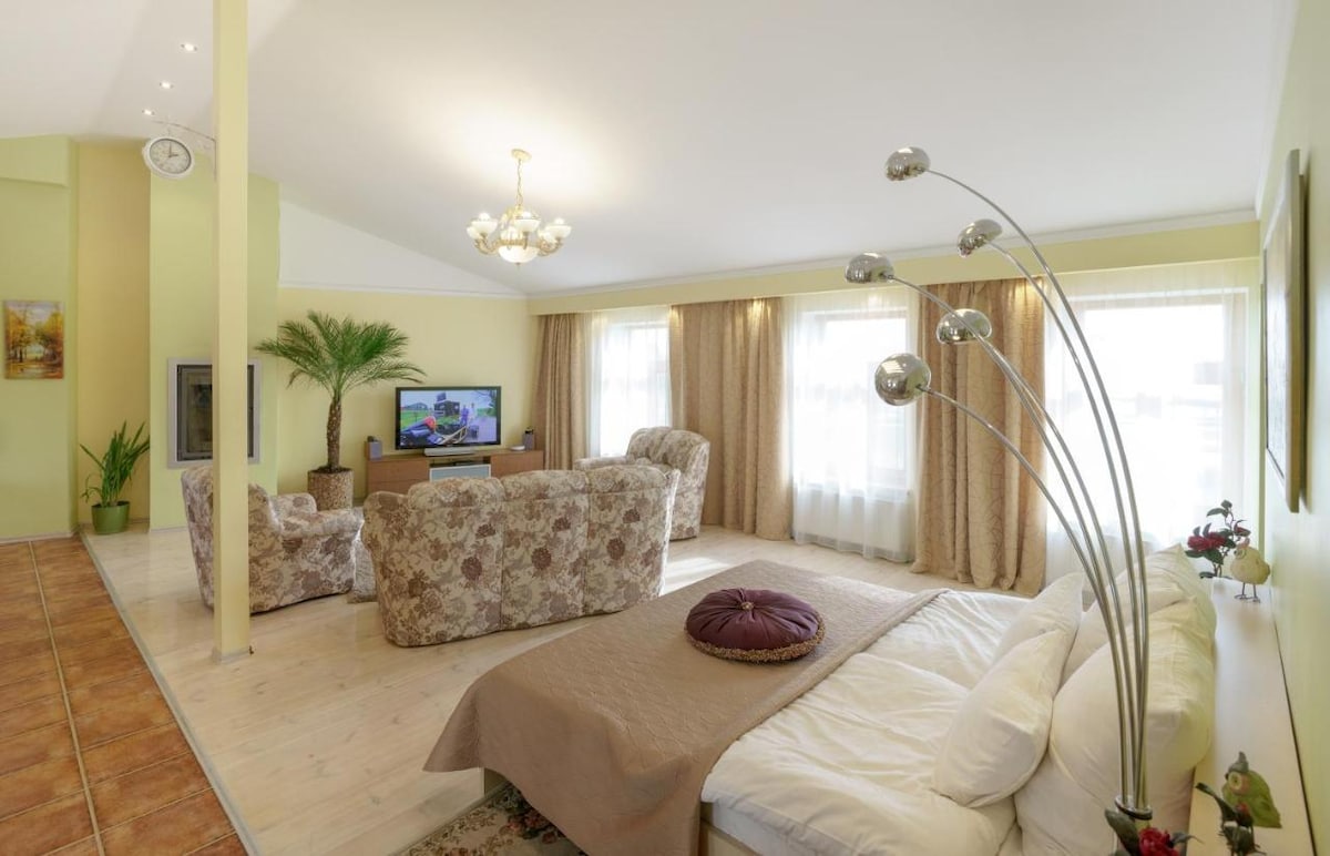 A spacious living area is showcased with soft lighting and large windows. A flat-screen TV is visible, accompanied by two patterned armchairs and a cozy sofa. A decorative plant adds a touch of greenery, while a comfortable bed is elegantly arranged in the space.