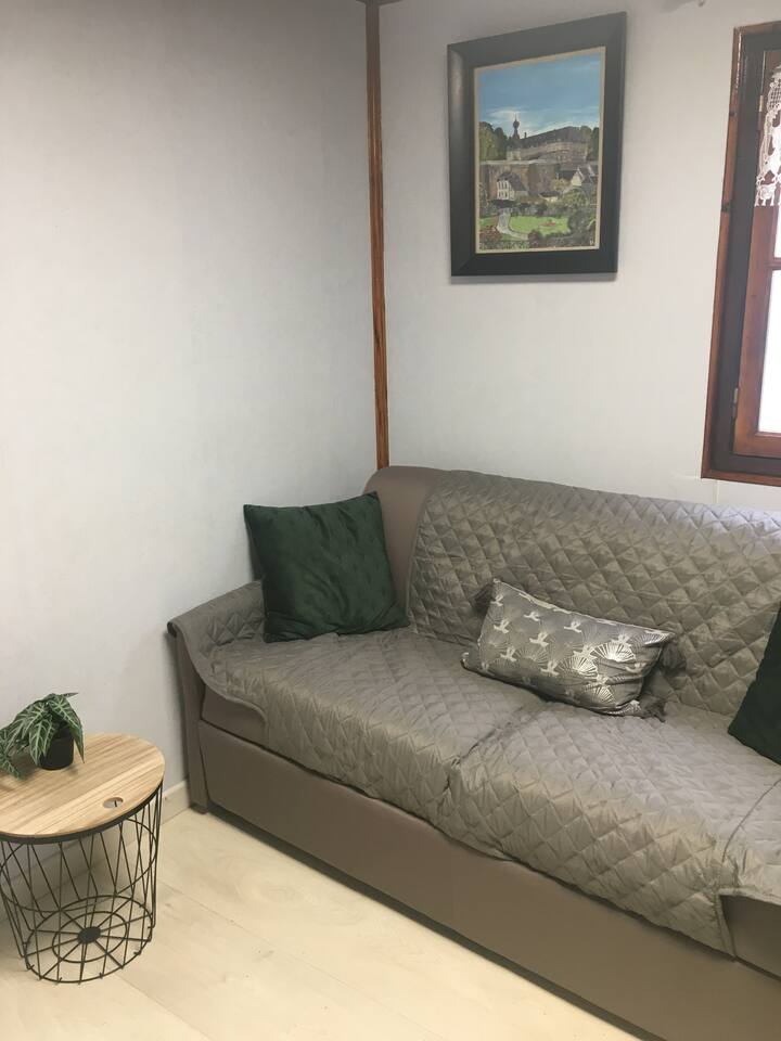 منطقة معيشة مع أريكة قابلة للتحويل إلى سرير مزدوج.
إمكانية إغلاق باب غرفة المعيشة لجعل غرفة في المساء.
غرفة معيشة مع أريكة وتلفزيون وتخزين.