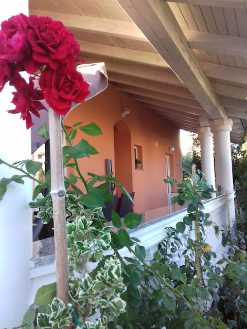 Successful Airbnb property: Apartman Ana M in Općina Ližnjan