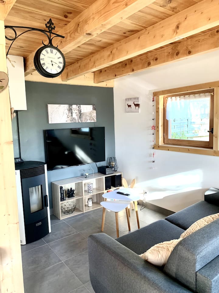 Chalet Individuel En Montagne - 4 Personnes - Lugrin