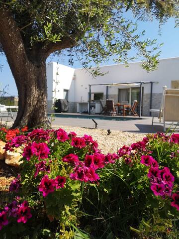 Charming villa, private pool & roof terrace gallery image 3