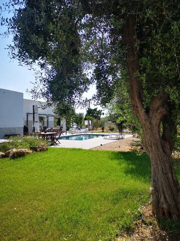 Charming villa, private pool & roof terrace gallery image 2