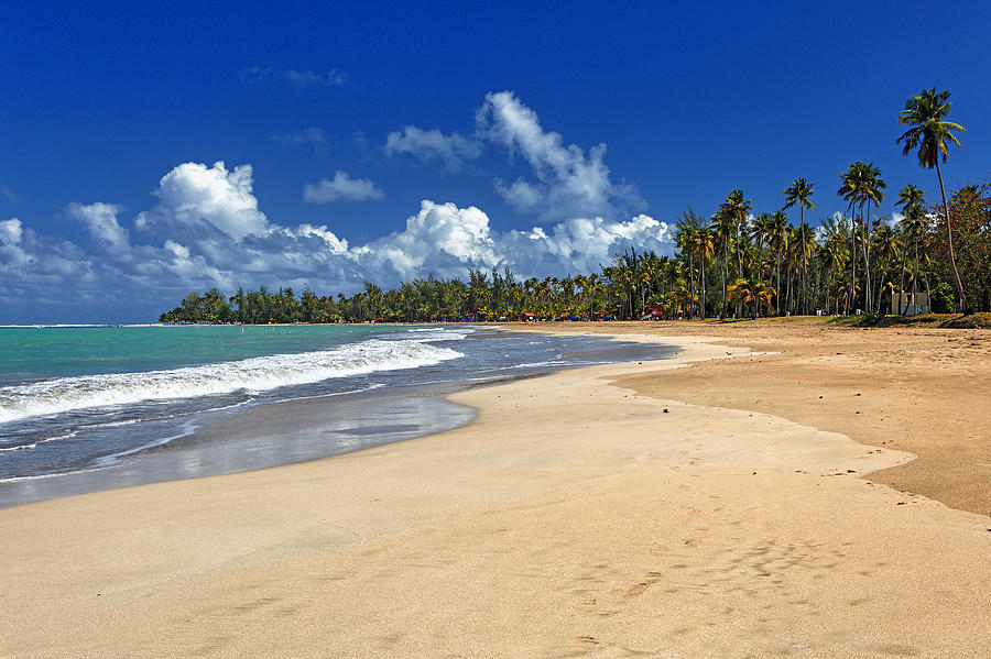 A calm beach scene features a wide stretch of golden sand bordered by gentle waves lapping at the shore. Lush palm trees provide a green backdrop, under a bright blue sky with scattered clouds.