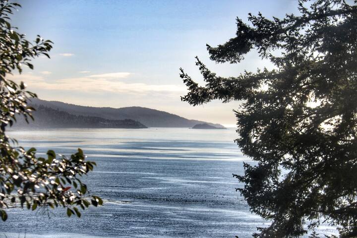 The Applebnb • Entire 4 Bedroom Home & Gardens gallery image 5